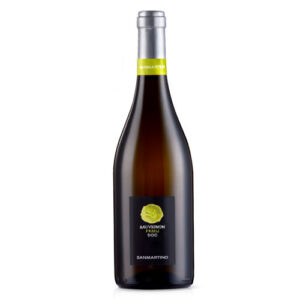 Sauvignon Friuli